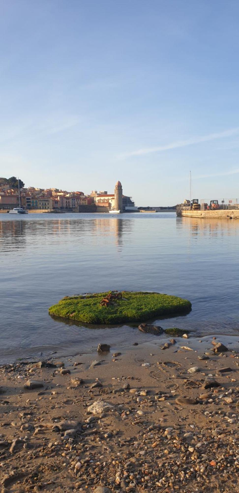 Apartament Studio Du Pecheur Collioure Zewnętrze zdjęcie